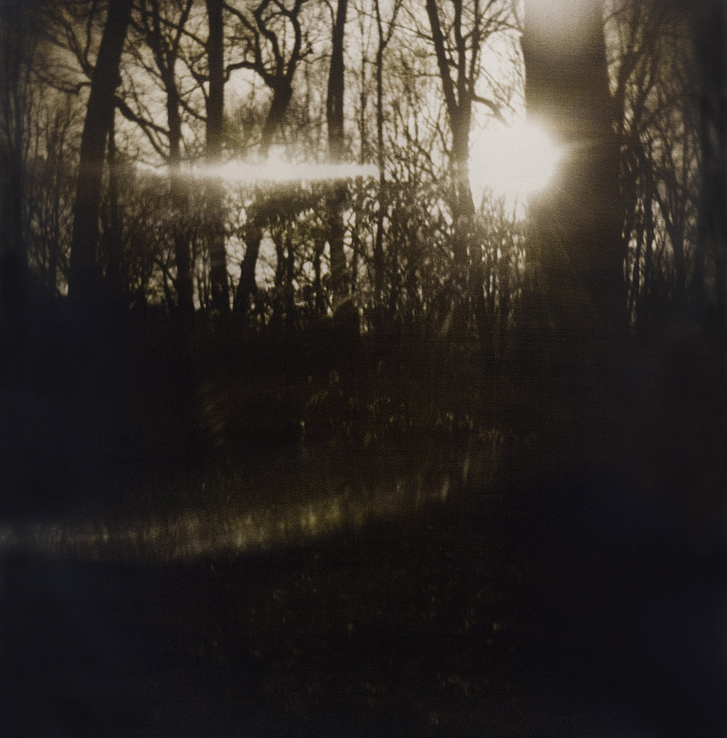 Carpenter Woods Reflection, gum bichromate, Past Imperfect Time