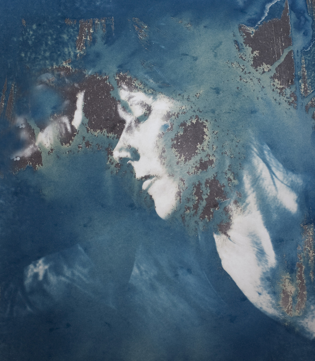 cyanotype, world cyanotype day; alternative process photography, non silver photography, laurie beck peterson